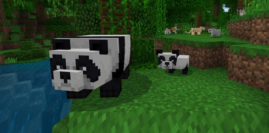 Minecraft: Neues Update bringt Pandas und Katzen