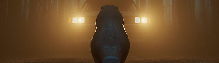 Review: Don't Mess With Bober